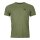Ortovox 120 Cool Tec MTN Stripe T-Shirt Men wild herbs
